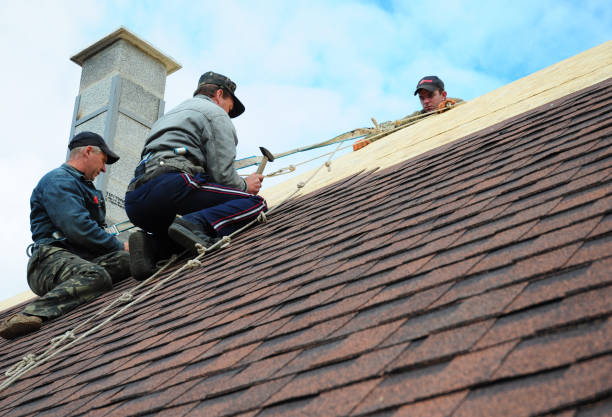 Quick and Trustworthy Emergency Roof Repair Services in Bridgeport, IL