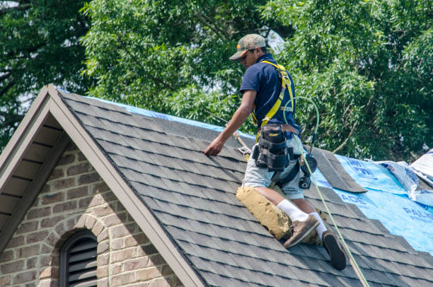 Best Commercial Roofing Services  in Bridgeport, IL